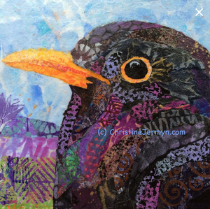 Irish Blackbird