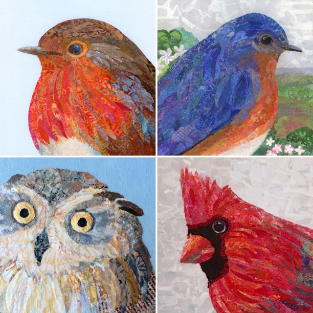 Nature Series Greeting Cards - Set of 4 different bird images